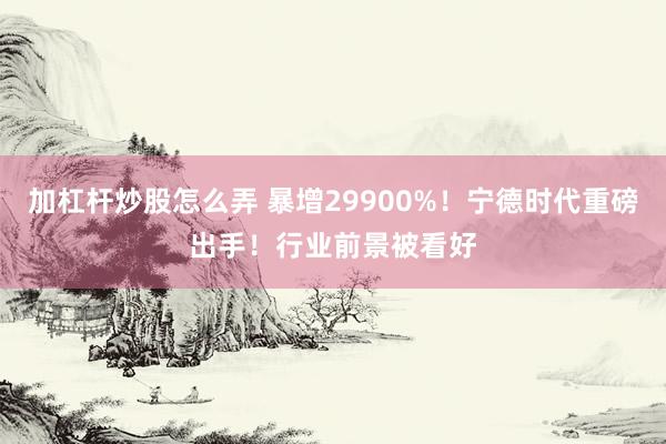 加杠杆炒股怎么弄 暴增29900%！宁德时代重磅出手！行业前景被看好