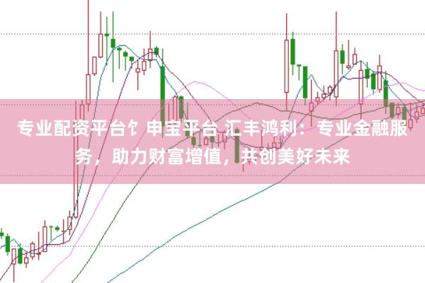 专业配资平台饣申宝平台 汇丰鸿利：专业金融服务，助力财富增值，共创美好未来