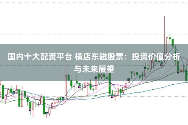 国内十大配资平台 横店东磁股票：投资价值分析与未来展望