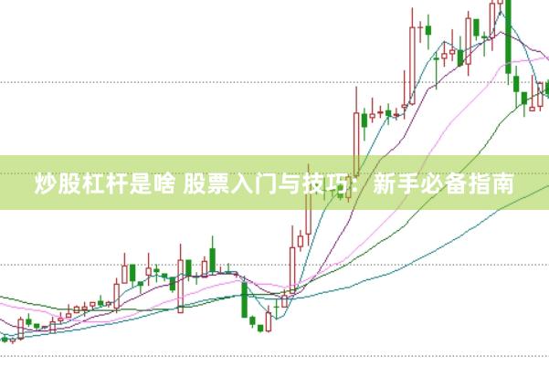 炒股杠杆是啥 股票入门与技巧：新手必备指南