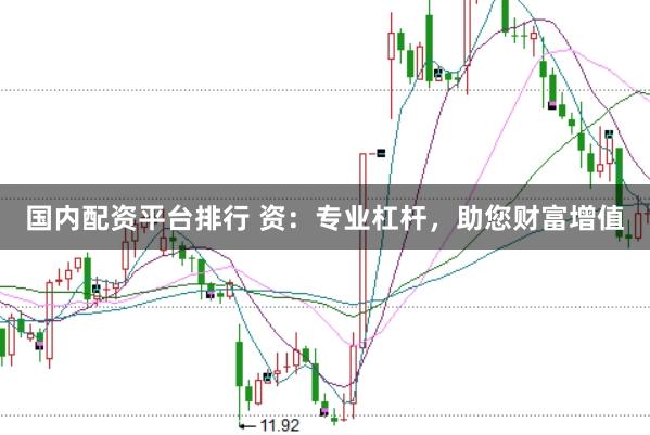 国内配资平台排行 资：专业杠杆，助您财富增值