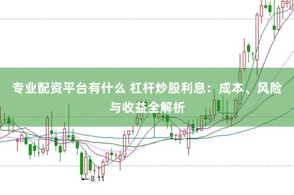专业配资平台有什么 杠杆炒股利息：成本、风险与收益全解析