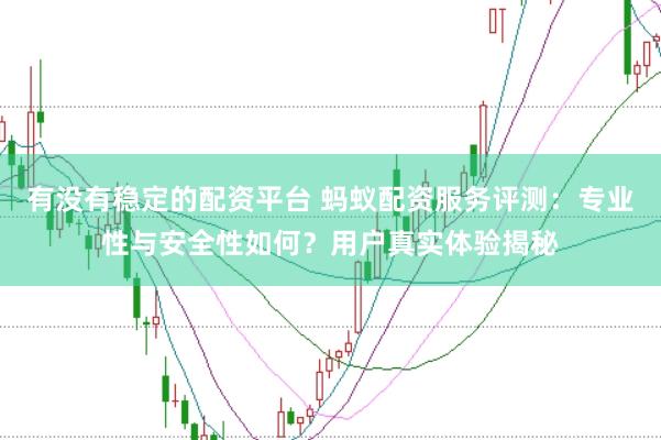 有没有稳定的配资平台 蚂蚁配资服务评测：专业性与安全性如何？用户真实体验揭秘