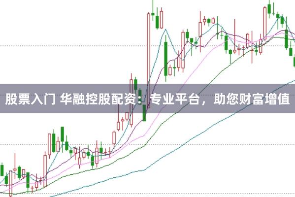 股票入门 华融控股配资：专业平台，助您财富增值