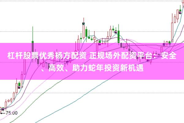 杠杆股票优秀杨方配资 正规场外配资平台：安全、高效、助力蛇年投资新机遇