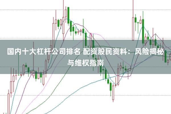 国内十大杠杆公司排名 配资股民资料：风险揭秘与维权指南
